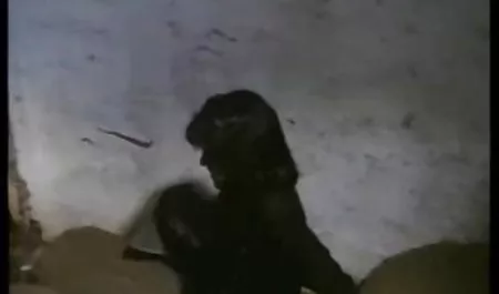 Dziadek zabierał mnie na spacery i bzykanie starszych pan ssie kutasa