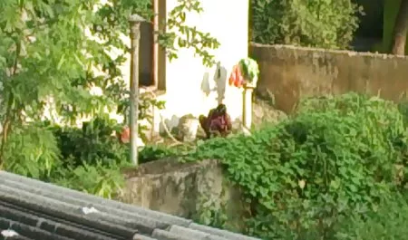Zielony sport Londyn starsze panie seksi marzec maj Sean