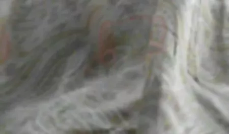 Jankesi erotyka starsze panie Johnson wideo